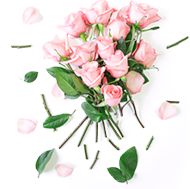 足球暑期训练营,足球七夕特别节目