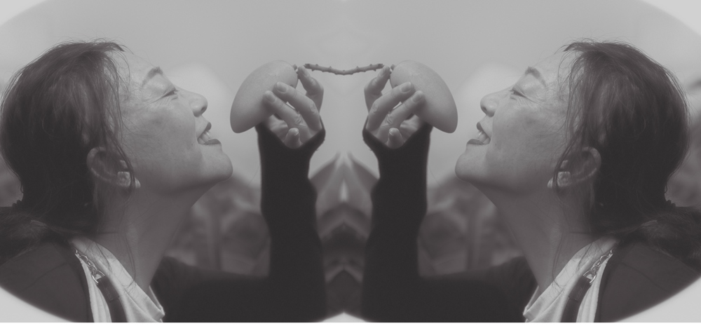 芒果之乡歌曲,芒果之乡的芒果品种