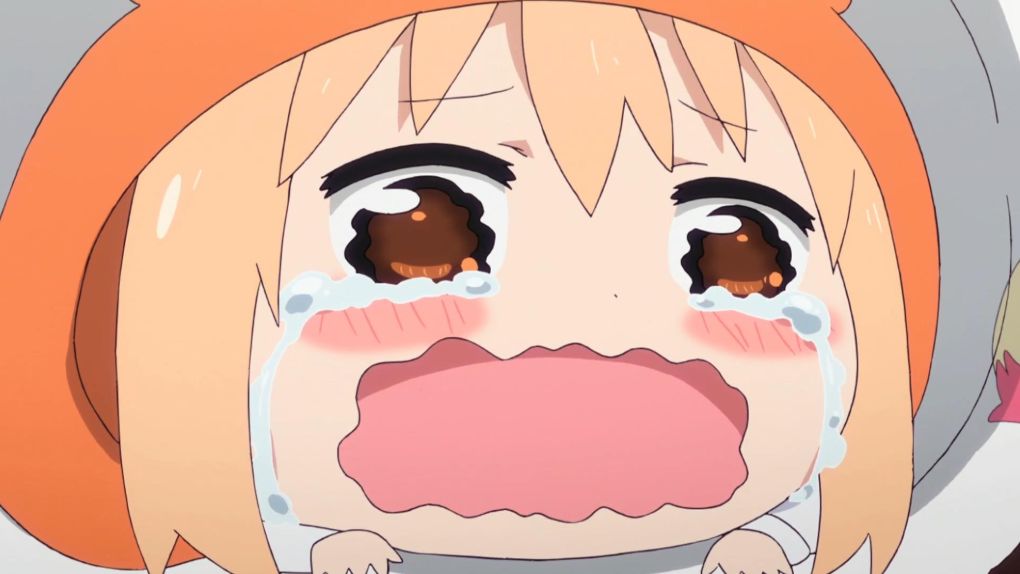 二次元争议巨大的角色,话题二次元