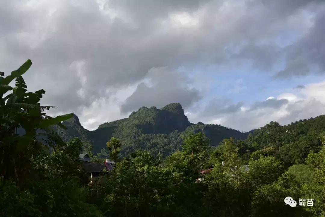 西双版纳四日博物之旅，都有哪些新发现