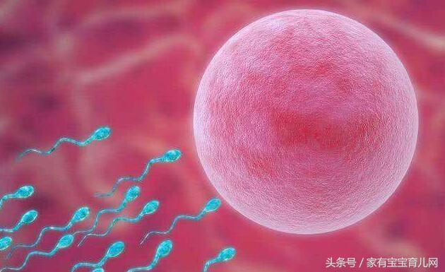 排卵期的症状和表现都有哪些,排卵期和排卵日的症状有哪些区别