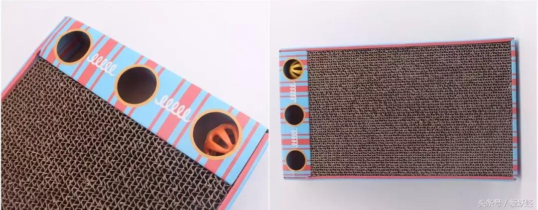 怎么让猫咪爱上猫抓板,猫咪喜欢猫抓板的表现