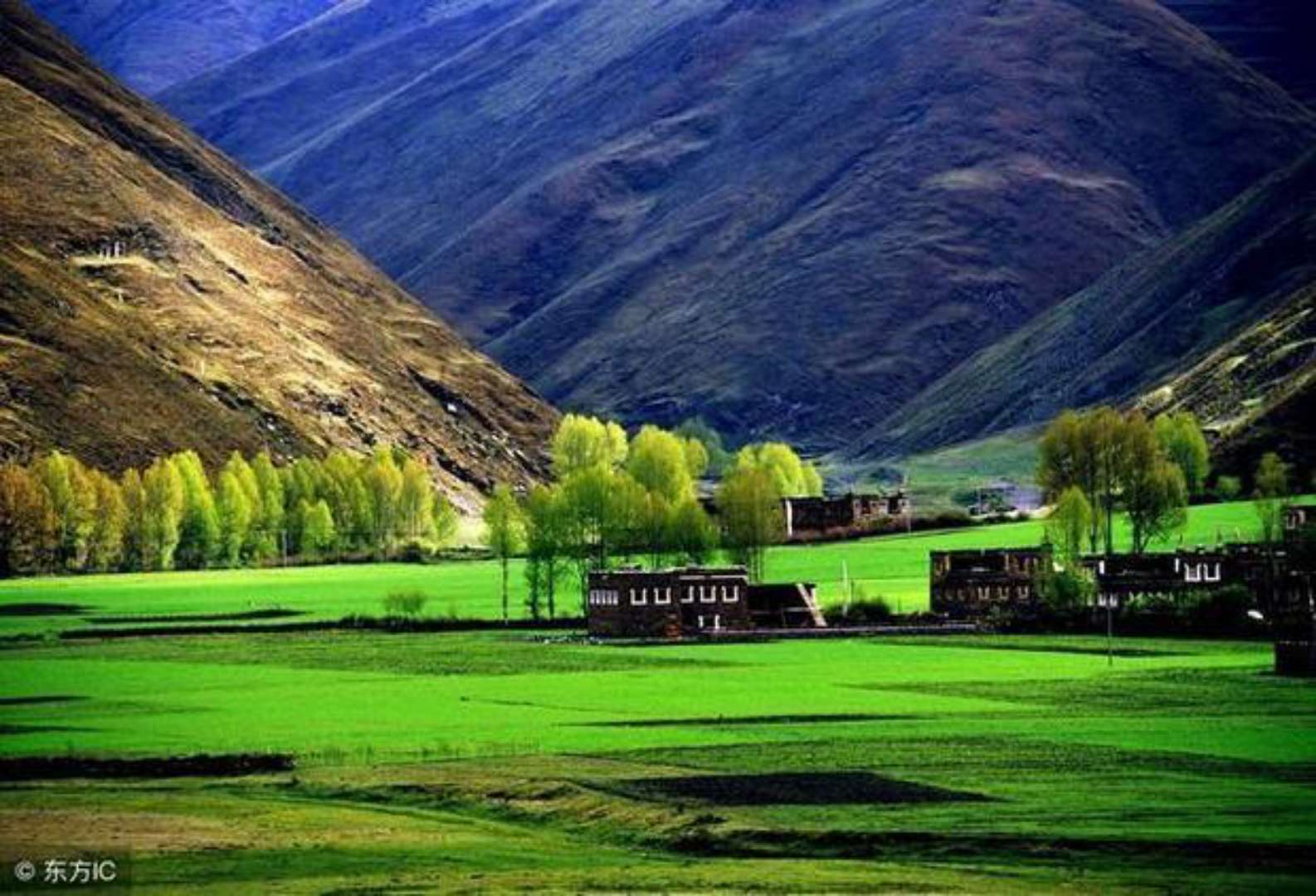 成都出发色达稻城亚丁5日游攻略,成都去色达稻城行程规划