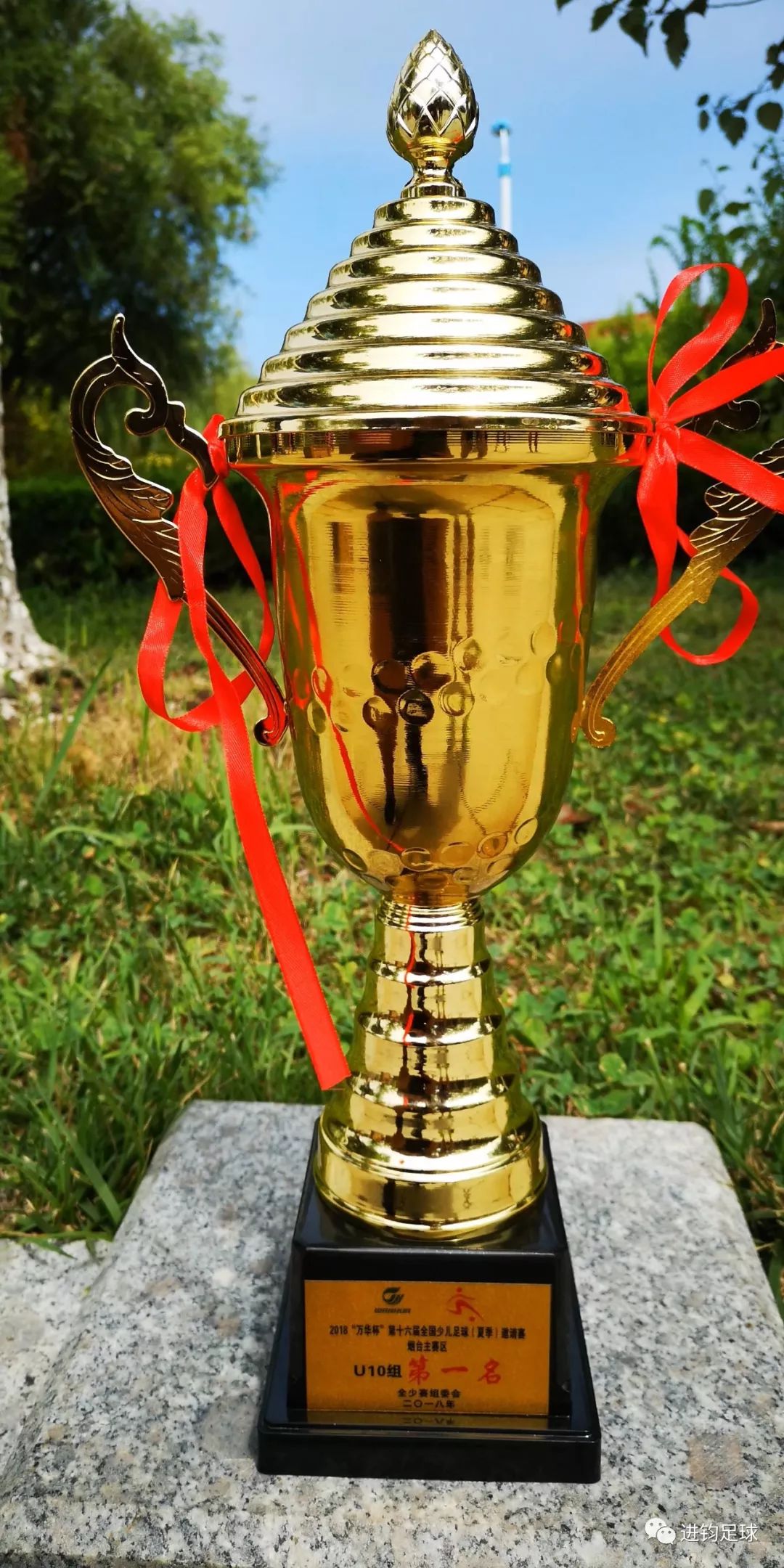 维维足球联赛,维维赛事