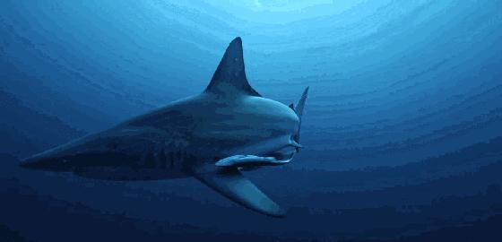 如果没有这部9.6，血腥猎奇的电影还要骗我们多久？