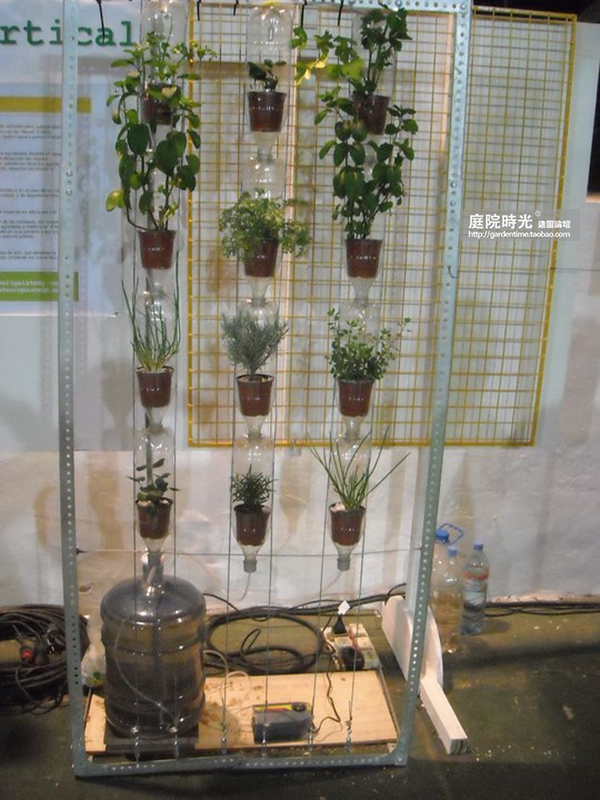 变废为宝自制栽培绿植器皿,塑料瓶创意绿植盆栽旧物利用