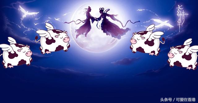 百合网营销套路,百合网创业创始人