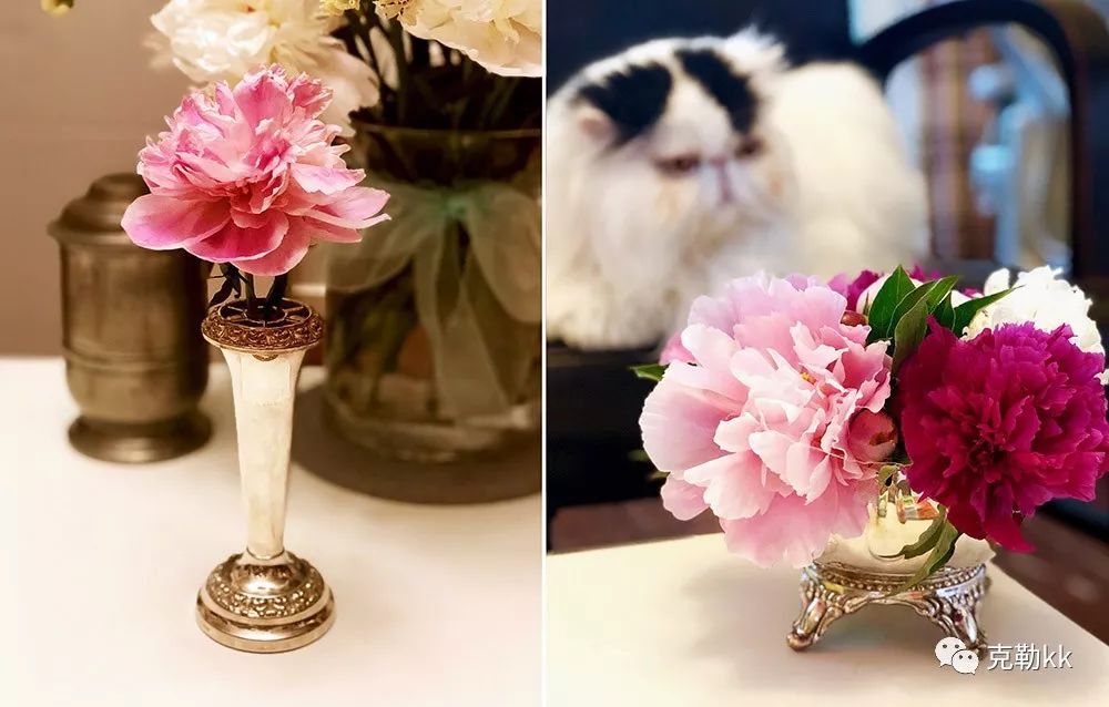 喜欢买旧的东西 (有些东西喜欢买旧的)