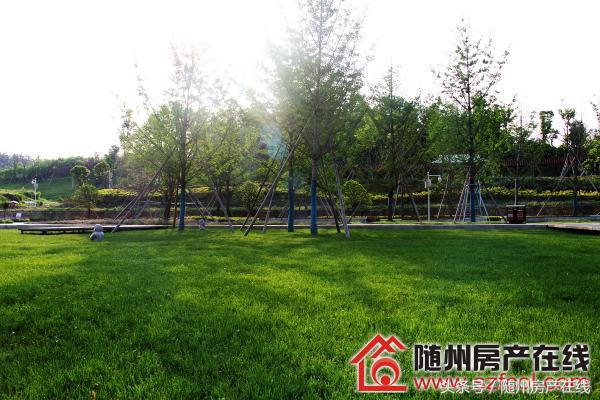 随州荣御中央白云大道,随州荣御中央公园