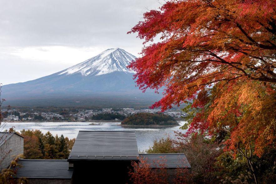 星野集团,杭州市星野集团