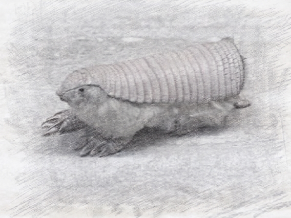 是神话厉害还是传说厉害,是神话传说还是真的有龙存在