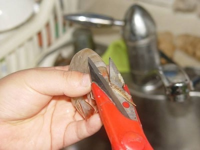 冷冻虾刺破手指怎么处理,海虾被刺破了怎么处理