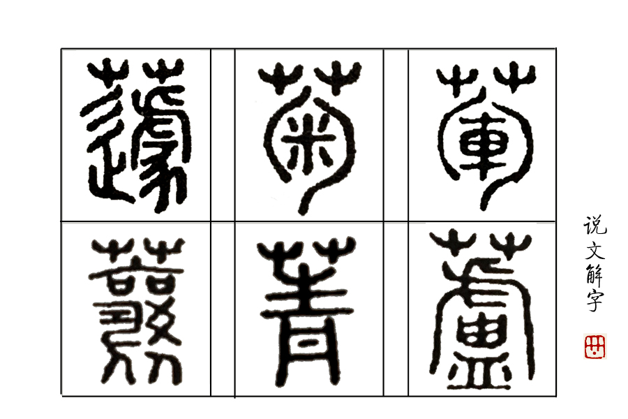 说文解字第263讲,说文解字第56课
