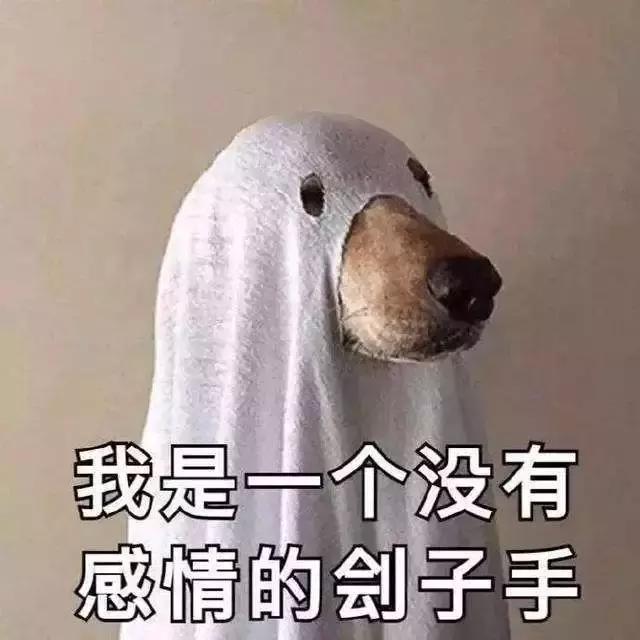 宠物医院里面的狗狗都怎么样了,福懋动物医院狗一直掉毛正常吗