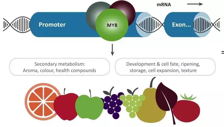 定制七夕礼物送老婆,定制七夕礼物送男友