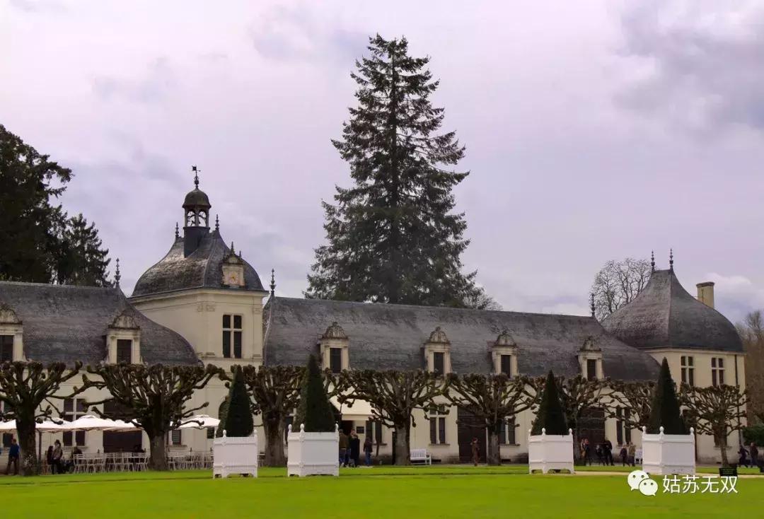 自己没本事还嫌弃老婆,靠妻子上位