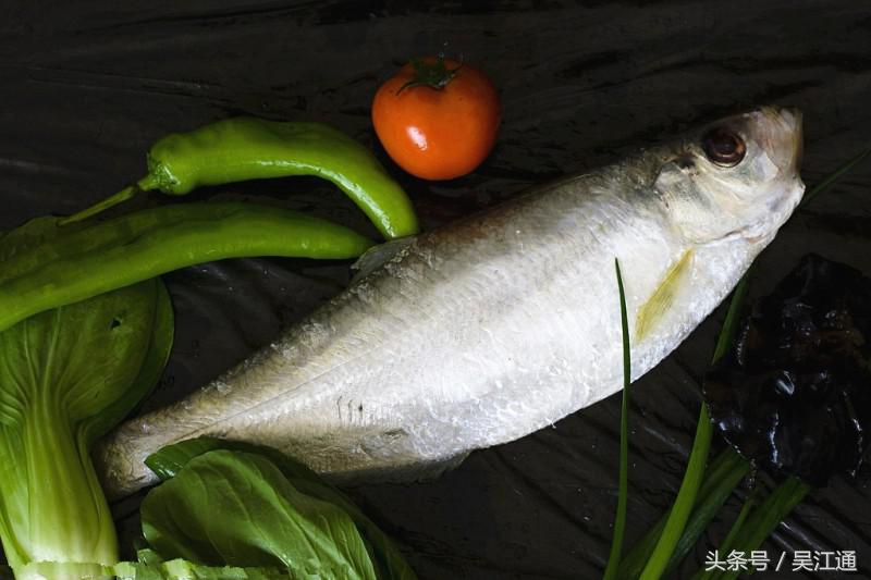 夏日小菜肉,夏日小菜园图片大全