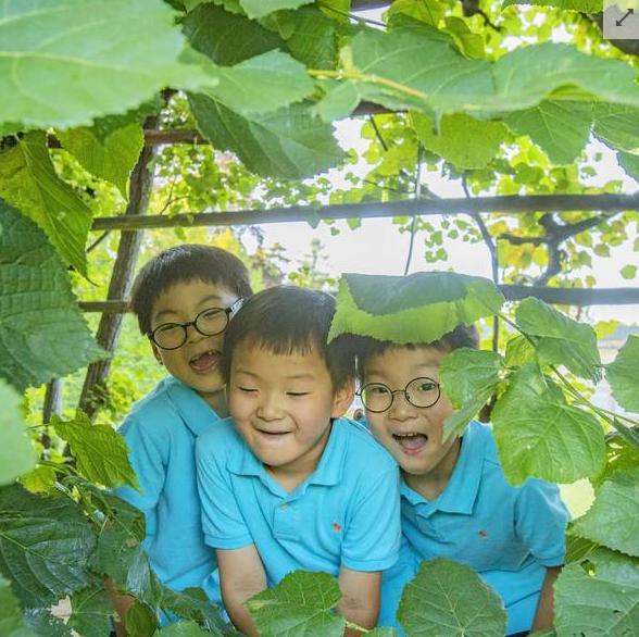 民国三兄弟最新图片,三兄弟同款t恤