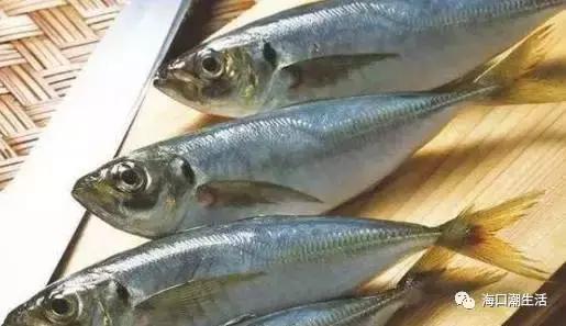 海南的鱼类大全,海南鱼类大全图片