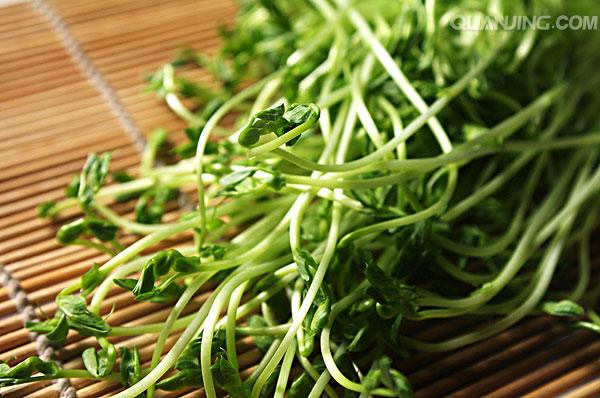 这菜营养不输西兰花，播种20天可采收，连收10次，每亩可达万元！