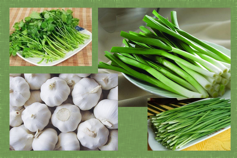 说文解字第263讲,说文解字第56课