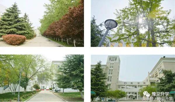 中国科学院合作的学校！郑州初中名校系列：郑中国际学校