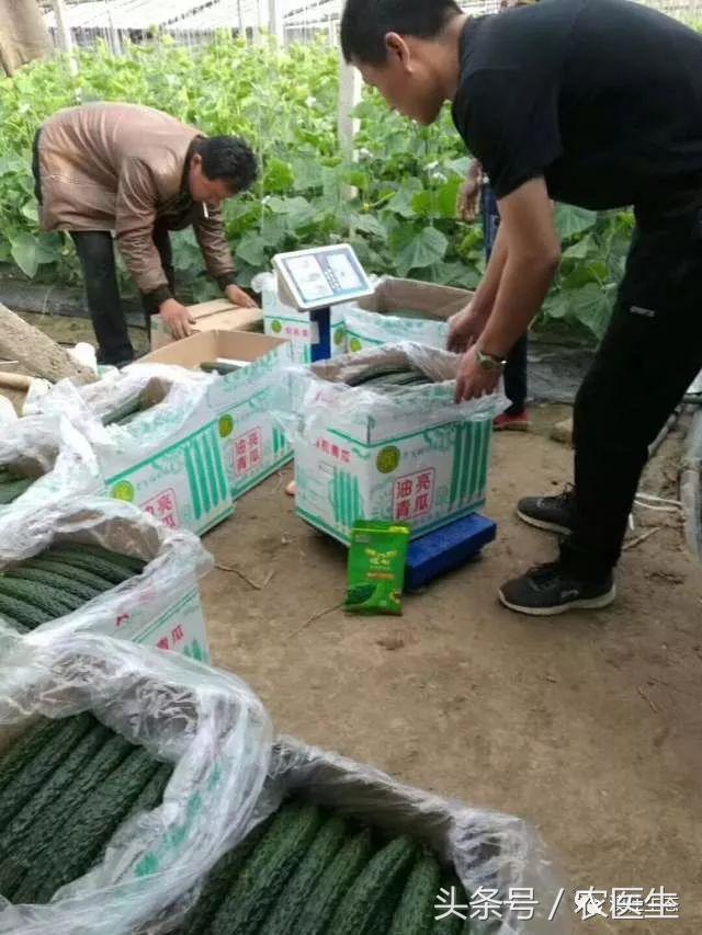 改善土壤板结专用药,专治土壤板结硬化酸化重茬