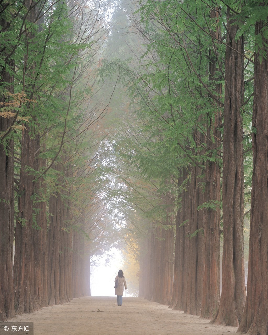 清晨诗歌大全,清晨的美好歌曲