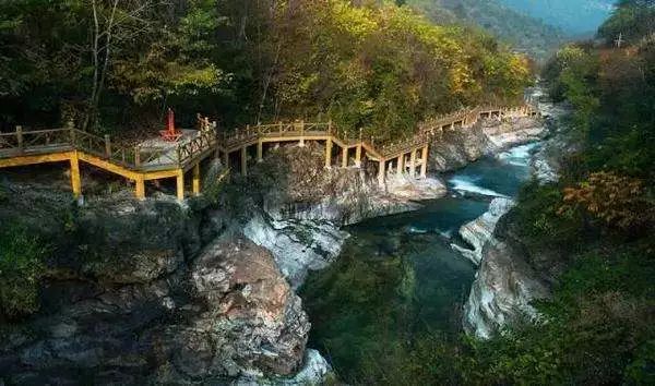 柚子说：松鼠我都没看见，熊猫也没有看见