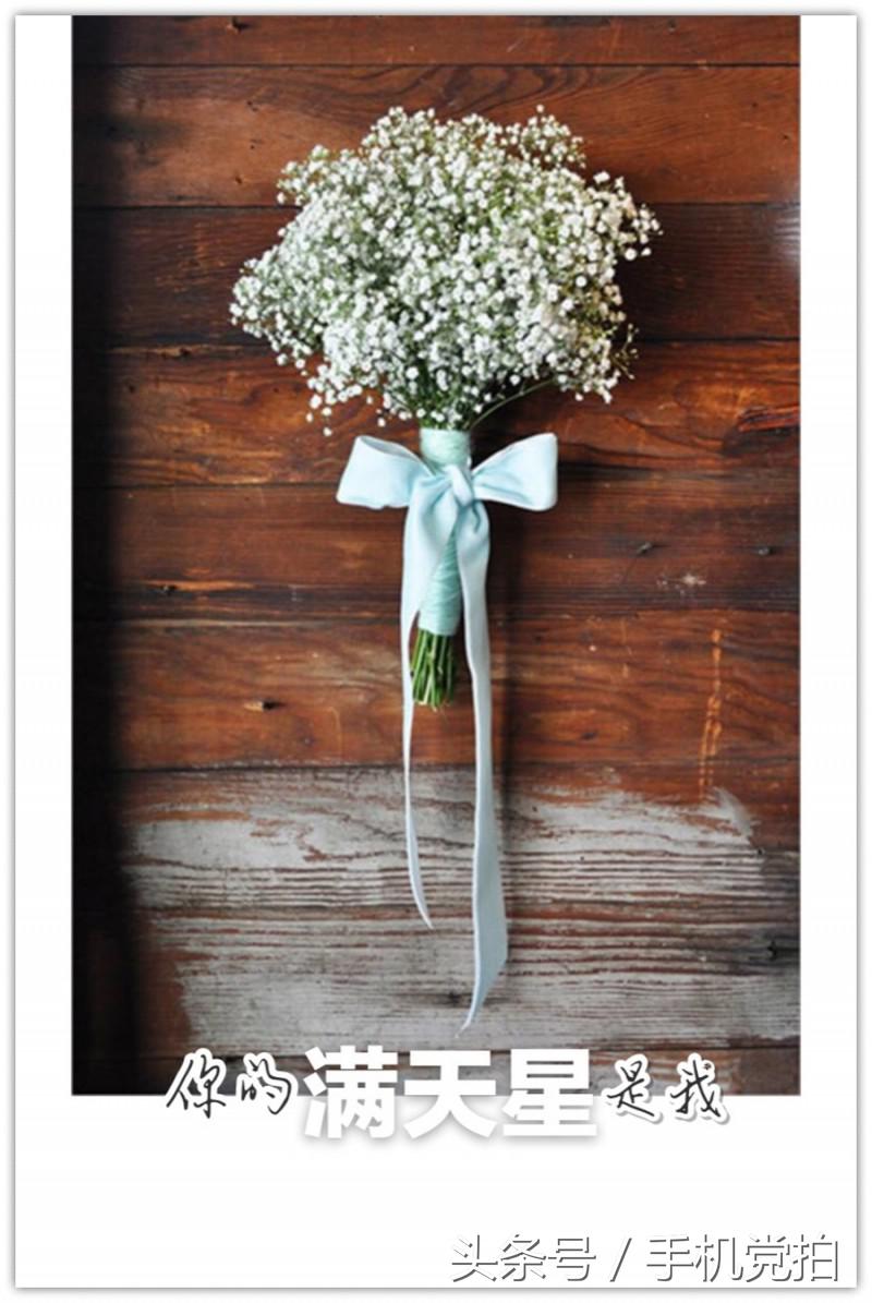 能表达爱情的有哪几种花,最适合表白的花