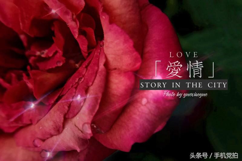 七夕节适合表白的数字浪漫,七夕送玫瑰花卡片写什么情话