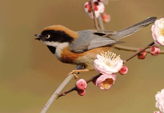 当你心烦觉得生活不尽人意时,当你心烦时看看就懂了