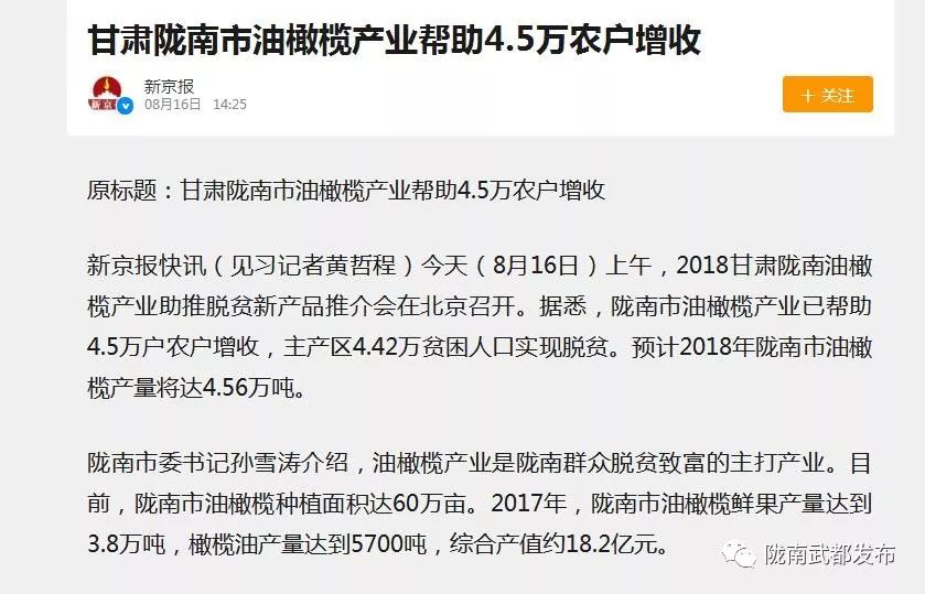 陇南武都橄榄产业发展,陇南油橄榄产业
