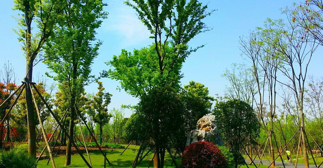 武汉一日游必去十大免费景点,武汉周边免费一日游自驾哪里好玩