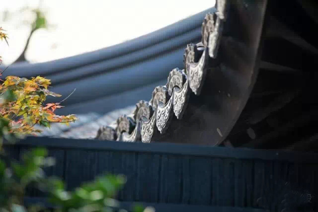 城市森林里的清新,城市山林