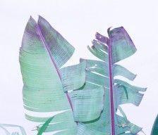 抽雪茄不过肺为什么还要抽,抽雪茄身体有什么感觉