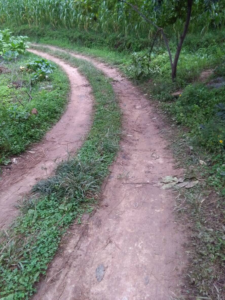 最近老是有创业想法,乡里办厂有什么扶持