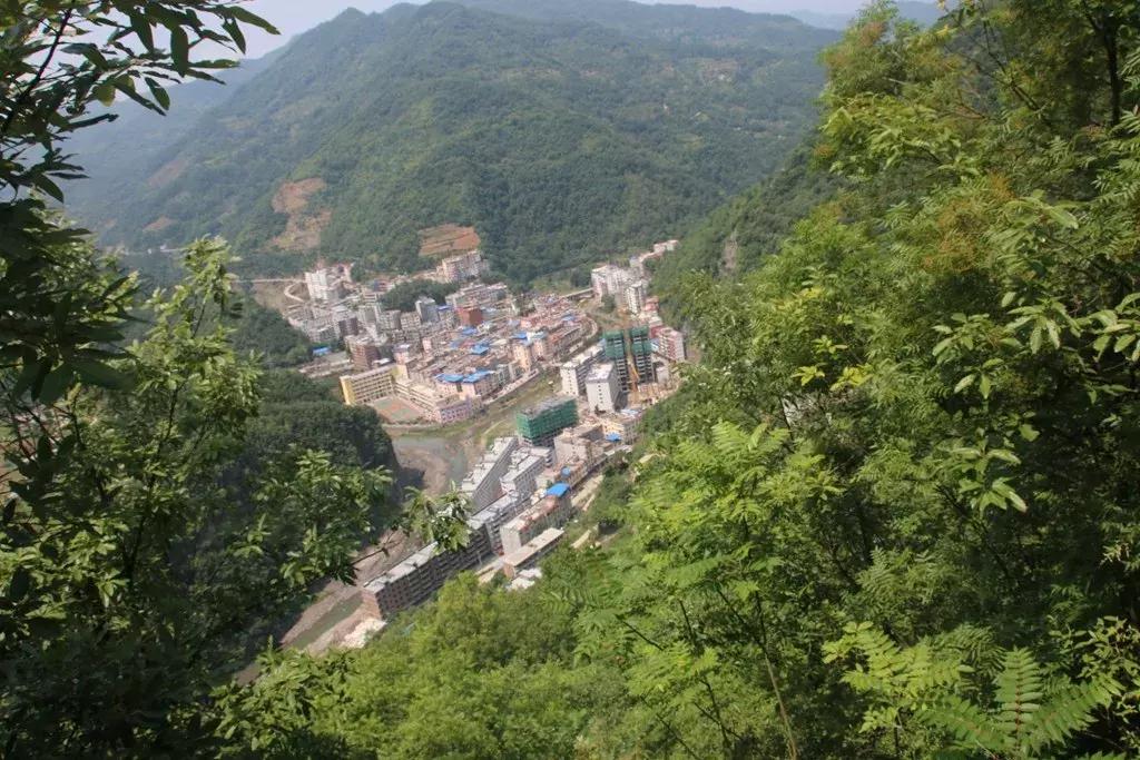 浠撲笂鏂囨梾灏忛晣,浠撳墠椋庢儏灏忛晣