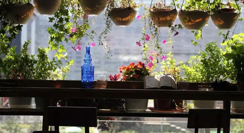 成都市民宿推荐图文,成都市区民宿推荐网红