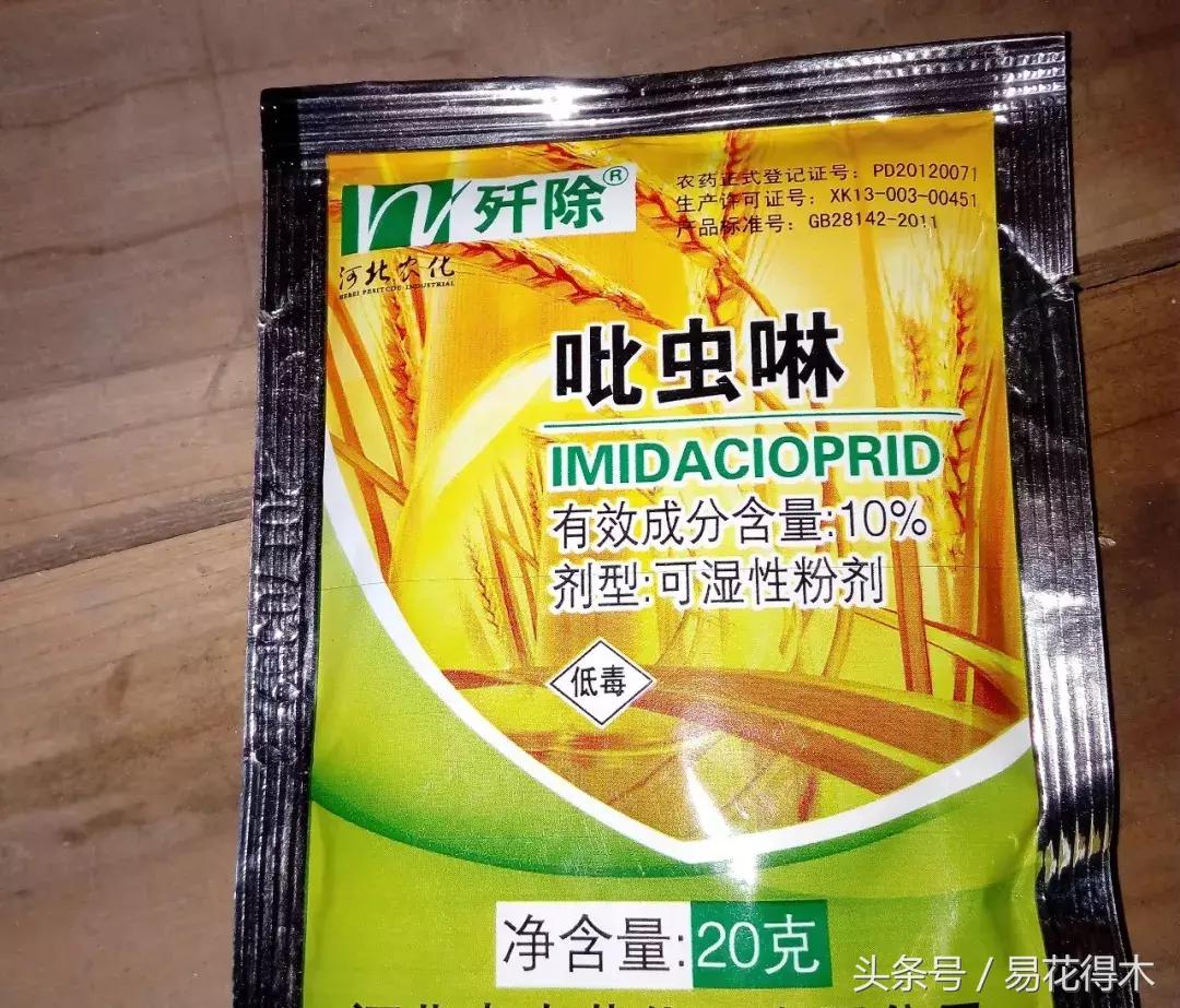 虫瘿属于虫害还是病害,虫瘿果实