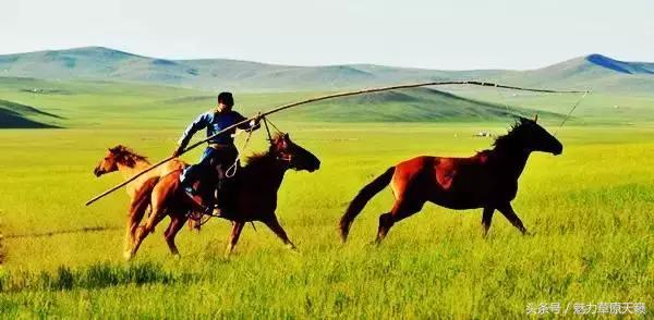 一座去了不想走的城市成都,一座去了还想去的城