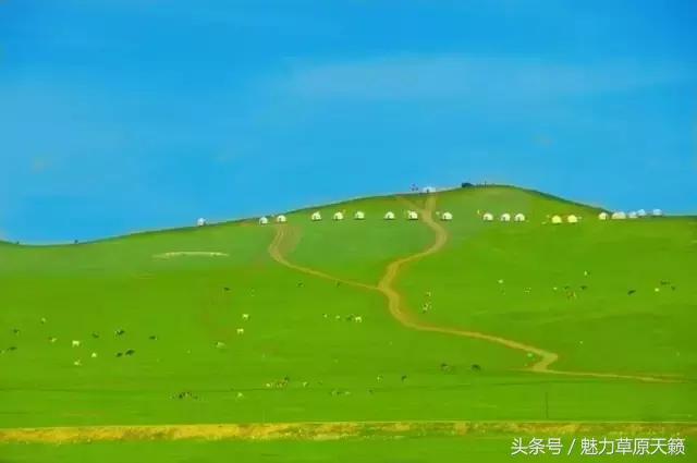 一座去了不想走的城市成都,一座去了还想去的城