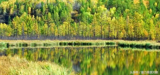 一座去了不想走的城市成都,一座去了还想去的城