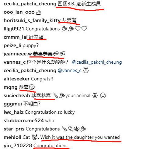 谢霆锋回应张柏芝三胞胎,张柏芝晒肚子隆起照引发猜测