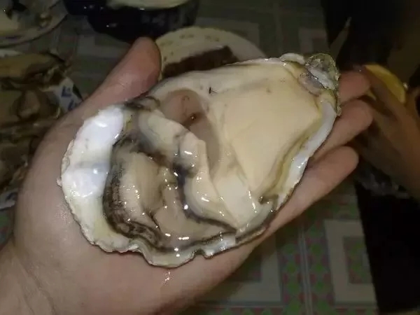 各个地方的美食pk,广州和珠海的美食哪个更好吃