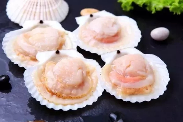 各个地方的美食pk,广州和珠海的美食哪个更好吃