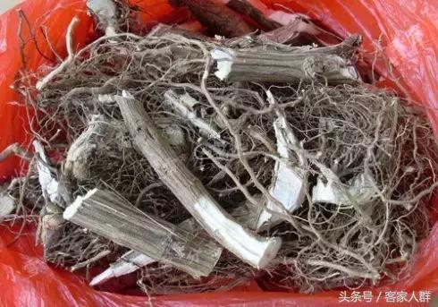 客家人煮汤有哪些草药,梅州客家煲汤药材根
