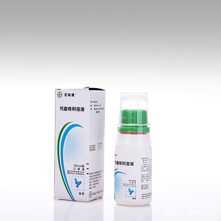 猫咪已经有虫了怎么驱虫,如何给家里有虫的猫咪驱虫