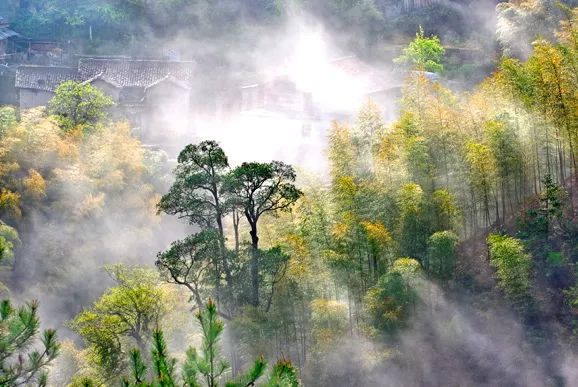 丽水遂昌市区,在丽水的遂昌