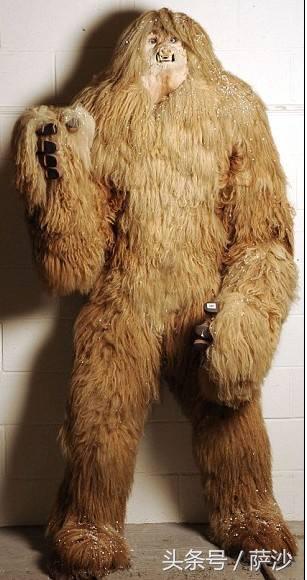 喜马拉雅山怪物雪人真的存在吗,雪人怪物真实存在吗